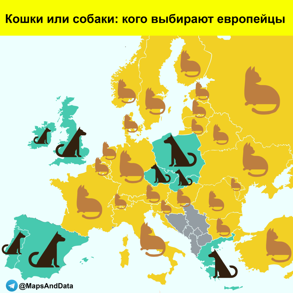 1589303766 84af3421fd5f0aa428f431aec7ce3264 1024x1024 - Кошки или собаки: кого выбирают в Европе?